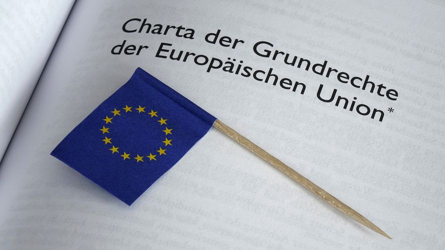 Das Recht einer Personen- oder Berufsgruppe, eigene Interessen zu vertreten, ist auch in der Charta der EU-Grundrechte festgeschrieben. Foto: picture alliance / dpa / Sascha Steinach